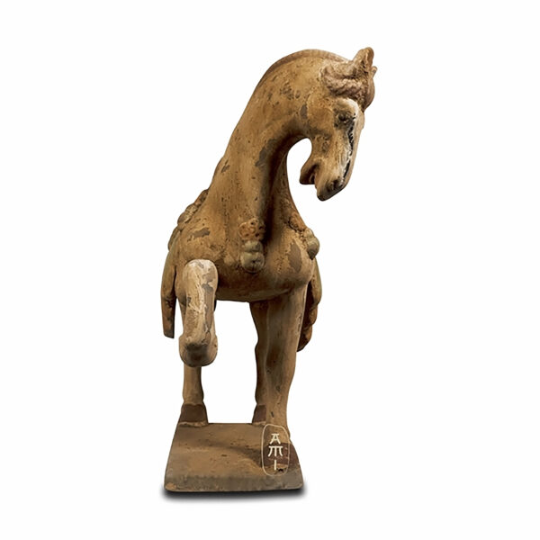 Anmutiges Tang Pferd – Bild 2