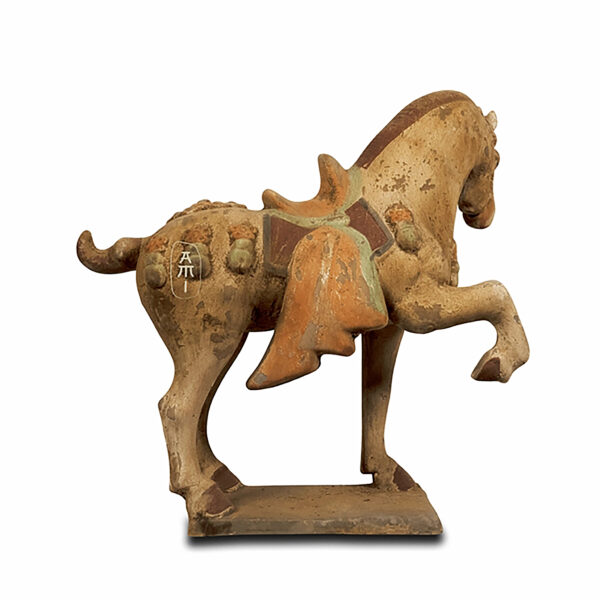 Anmutiges Tang Pferd – Bild 3